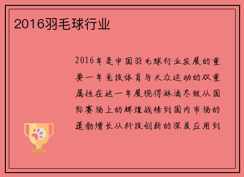 2016羽毛球行业