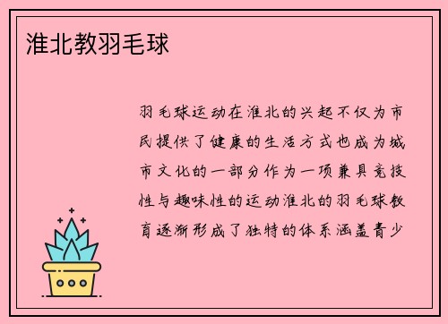 淮北教羽毛球